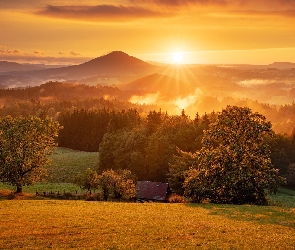 Góry, Promienie słońca, Drzewa, Łąka, Wschód słońca