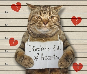 Kartka, Serca, I broke a lot of hearts, Napis, Kot