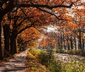 Jesień, Kanał, Ścieżka, Rzeka, Drzewa