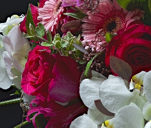 Bukiet, Gerbera, Orchidea, Róże, Kwiaty