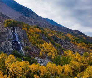 Stany Zjednoczone, Góry, Lasy, Skały, Jesień, Drzewa, Easter Sierra, Region, Kalifornia, Wodospad