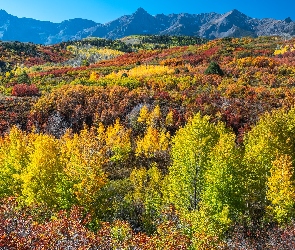 Kolorowe, Góry, Jesień, Stany Zjednoczone, Las, Drzewa, Kolorado, San Juan Mountains