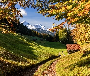 Niemcy, Domek, Drzewa, Jesień, Droga, Szczyt Zugspitze, Bawaria, Góry, Alpy Bawarskie