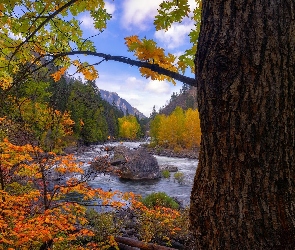 Rzeka, Wenetchee River, Stany Zjednoczone, Drzewa, Stan Waszyngton, Jesień