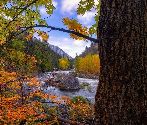 Stany Zjednoczone, Stan Waszyngton, Wenetchee River, Rzeka, Jesień, Drzewa