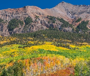 Telluride, Jesień, Stan Kolorado, Stany Zjednoczone, Drzewa, San Juan Mountains, Góry, Kolorowe, Las