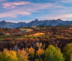 Góry, Las, Telluride, Stany Zjednoczone, Drzewa, San Juan Mountains, Kolorado, Jesień
