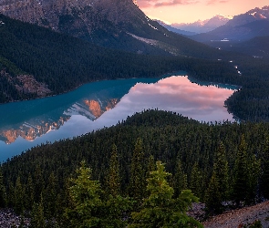 Park Narodowy Banff, Drzewa, Kanada, Góry Canadian Rockies, Zachód słońca, Jezioro Peyto Lake, Odbicie, Lasy