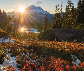 Park Narodowy Mount Rainier, Stratowulkan Mount Rainier, Zjednoczone, Stany, Śnieg, Roślinność, Jesień, Promienie słońca, Góra
