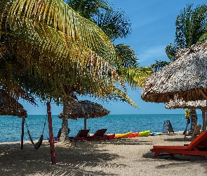 Palmy, Morze, Leżaki, Parasole, Plaża