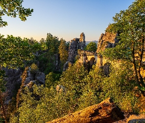 Formacja skalna, Park Narodowy Saskiej Szwajcarii, Góry Połabskie, Drzewa, Skały, Bastei, Most, Niemcy