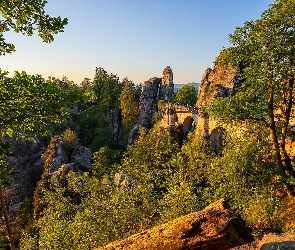Park Narodowy Saskiej Szwajcarii, Bastei, Góry Połabskie, Formacja skalna, Most, Niemcy, Drzewa, Skały