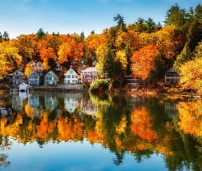 Domy, Las, Jesień, Stany Zjednoczone, Alton, Jezioro Winnipesaukee, Stan New Hampshire, Drzewa