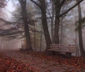 Opadłe, Ławki, Park, Liście, Mgła, Jesień, Drzewa