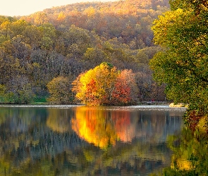 Las, Odbicie, Jesień, Drzewa, Jezioro