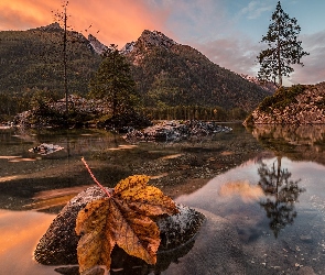 Alpy, Drzewa, Góry, Skały, Bawaria, Jezioro Hintersee, Niemcy, Zachód słońca