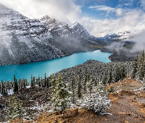 Kanada, Śnieg, Drzewa, Prowincja Alberta, Góry, Park Narodowy Banff, Jezioro, Peyto Lake, Zima, Chmury