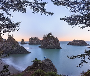 Człowiek, Gałęzie, Drzewa, Wybrzeże, Plaża, Stan Oregon, Secret Beach, Morze, Stany Zjednoczone, Skały