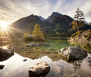 Skały, Alpy, Góry, Niemcy, Wschód słońca, Drzewa, Bawaria, Jezioro Hintersee