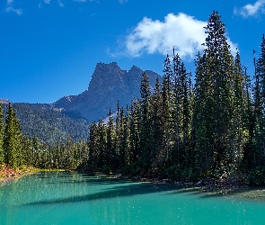 Kolumbia Brytyjska, Park Narodowy Yoho, Emerald Lake, Kanada, Góry Skaliste, Jezioro, Drzewa