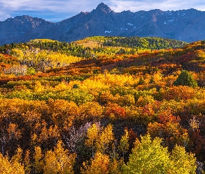 Jesień, Kolorado, Lasy, Stany Zjednoczone, Drzewa, Dallas Divide, Góry, San Juan Mountains, Przełęcz