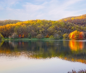 Las, Jesień, Drzewa, Kolorowe, Jezioro
