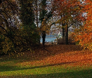 Jesień, Ławka, Liście, Drzewa, Park