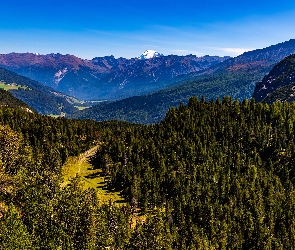 Lasy, Dolina, Niebo, Drzewa, Góry