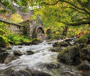 Anglia, Kamienie, Rzeka, Drzewa, Omszałe, Młyn, Hrabstwo Kumbria, Borrowdale, Kamienny