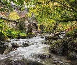 Borrowdale, Młyn, Hrabstwo Kumbria, Anglia, Drzewa, Omszałe, Rzeka, Kamienie, Kamienny