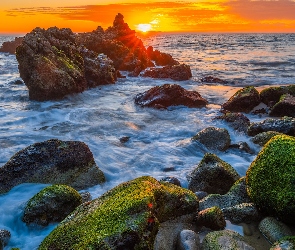 Stany Zjednoczone, Malibu, Przylądek Point Mugu, Kalifornia, Kamienie, Morze, Ptak, Omszałe, Zachód słońca, Skały