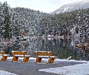 Śnieg, Drzewa, Ławki, Góry, Las, Zima, Jezioro