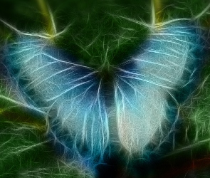 Motyl, Fractalius, Niebieski
