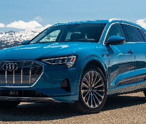 Niebieski, 2019, Audi e-Tron