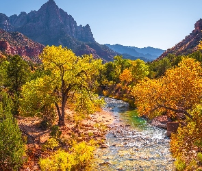 Kamienie, Góry Watchman, Park Narodowy Zion, Stany Zjednoczone, Jesień, Drzewa, Stan Utah, Rzeka Virgin River