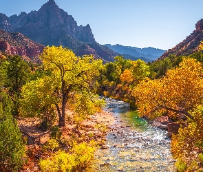 Góry Watchman, Drzewa, Park Narodowy Zion, Kamienie, Stan Utah, Rzeka Virgin River, Stany Zjednoczone, Jesień