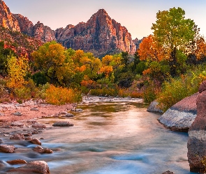 Park Narodowy Zion, Stan Utah, Drzewa, Stany Zjednoczone, Jesień, Kamienie, Góry Watchman, Rzeka, Virgin River