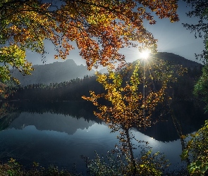 Góry, Prowincja Udine, Jesień, Włochy, Promienie słońca, Drzewa, Alpy Julijskie, Jezioro, Laghi di Fusine