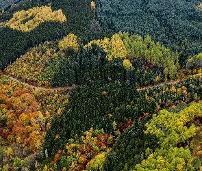 Jesień, Drzewa, Droga, Z lotu ptaka, Kolorowe, Góry, Las