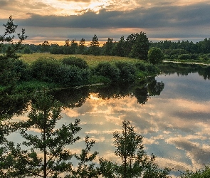 Chmury, Krzewy, Rzeka, Drzewa