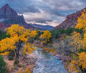 Park Narodowy Zion, Stan Utah, Jesień, Stany Zjednoczone, Chmury, Drzewa, Góry Watchman, Rzeka Virgin River, Kamienie