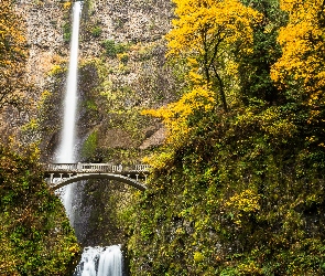 Drzewa, Multnomah Falls, Wodospad, Stany Zjednoczone, Jesień, Las, Stan Oregon, Most