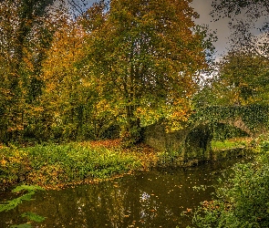 Rzeka, Drzewa, Most, Bluszcz, Kamienny