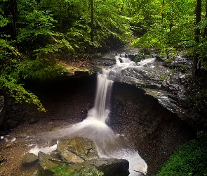 Stany Zjednoczone, Blue Hen Falls, Drzewa, Rzeka, Wodospad, Las, Park Narodowy Cuyahoga Valley, Kamienie, Stan Ohio, Skała