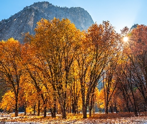 Stan Kalifornia, Promienie słońca, Park Narodowy Yosemite, Stany Zjednoczone, Drzewa, Jesień, Góry