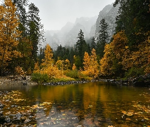 Jesień, Rzeka, Drzewa, Góry, Żółte, Kamienie