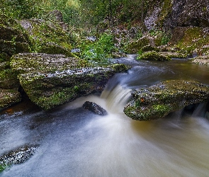 Rzeka, Głazy, Kamienie, Omszałe