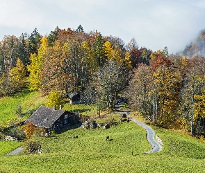 Droga, Polana, Drzewa, Jesień, Wzgórze, Dom