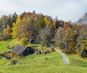 Jesień, Drzewa, Droga, Dom, Polana, Wzgórze