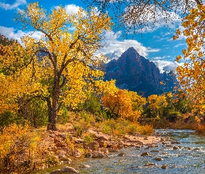 Stany Zjednoczone, Chmury, Jesień, Stan Utah, Góra Watchman, Góry, Rzeka Virgin River, Kamienie, Park Narodowy Zion, Drzewa